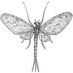 Logo pépinière Jacquet boutique de saint péray