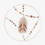 Logo boutique Le sirop d'Anis Alboussière